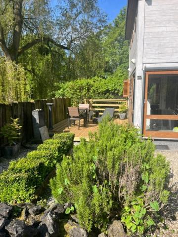 Gite Et Chambre D'Hote Gussignies Esterno foto